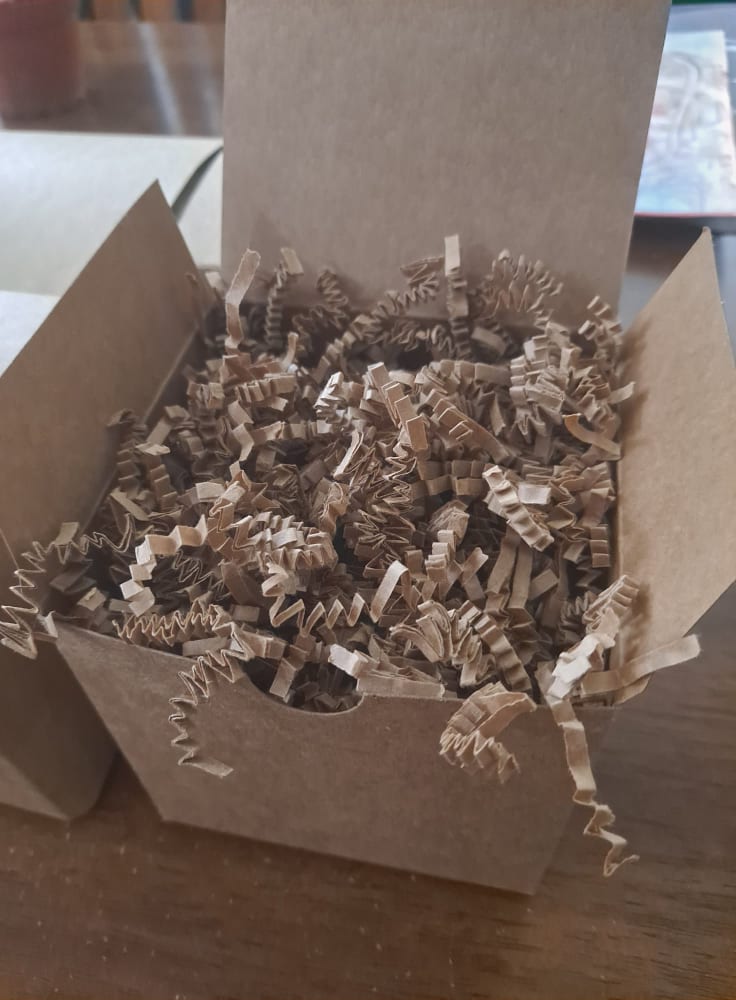 Holiday Themed Live Air Plant Terrarium - Ornament