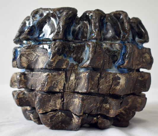 Spines.n.Clay Handmade Artisan Ceramic Pottery