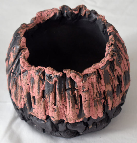 Spines.n.Clay Handmade Artisan Ceramic Pottery