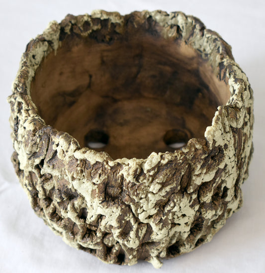 Spines.n.Clay Handmade Artisan Ceramic Pottery