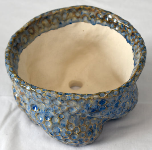 Spines.n.Clay Handmade Artisan Ceramic Pottery